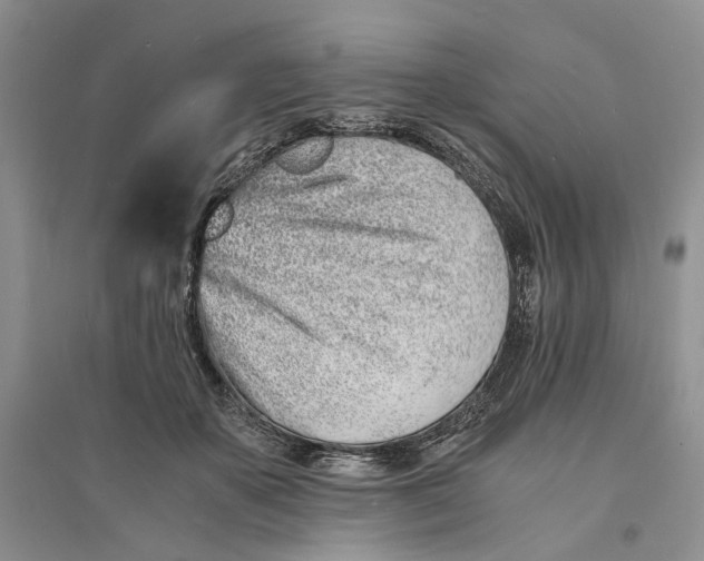 X0000094080507200711091218