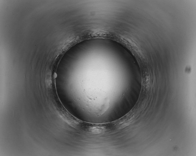 X0000094080508200711091218