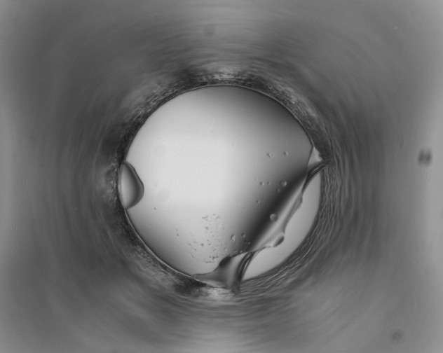 X0000094080509200711091218