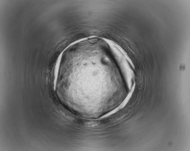 X0000094080511200711091218