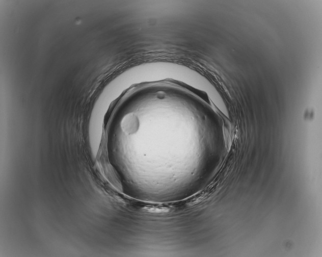 X0000094080512200711091218