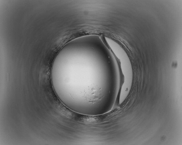 X0000094080513200711091218