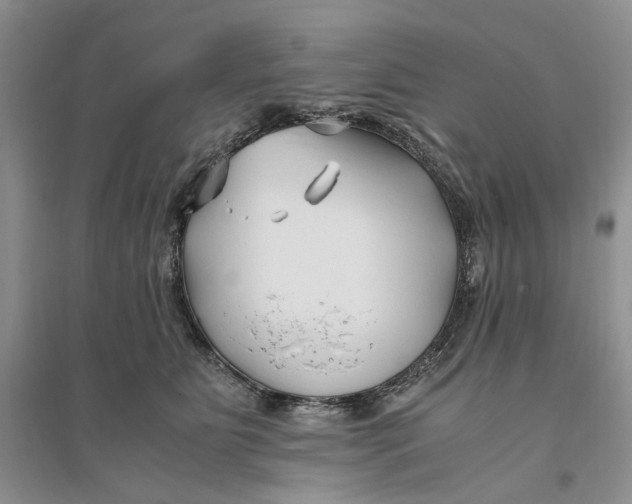 X0000094080515200711091218