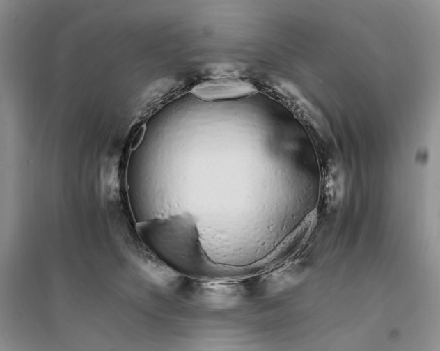 X0000094080516200711091218