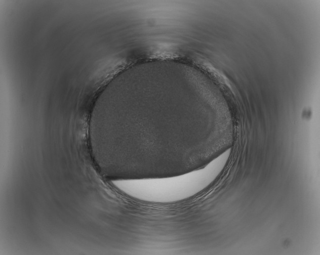 X0000094080517200711091218