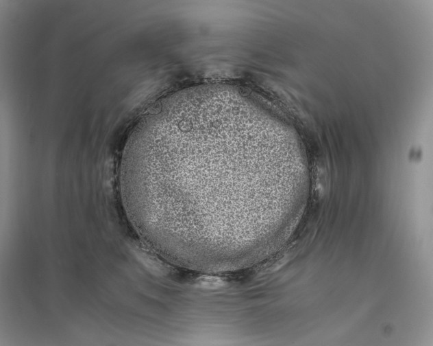 X0000094080519200711091218
