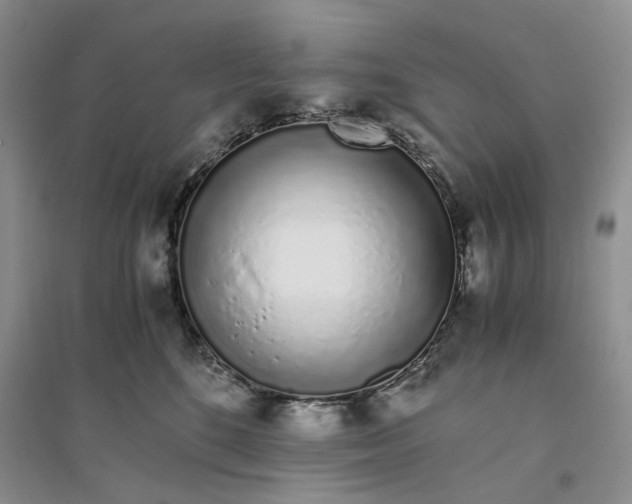 X0000094080520200711091218