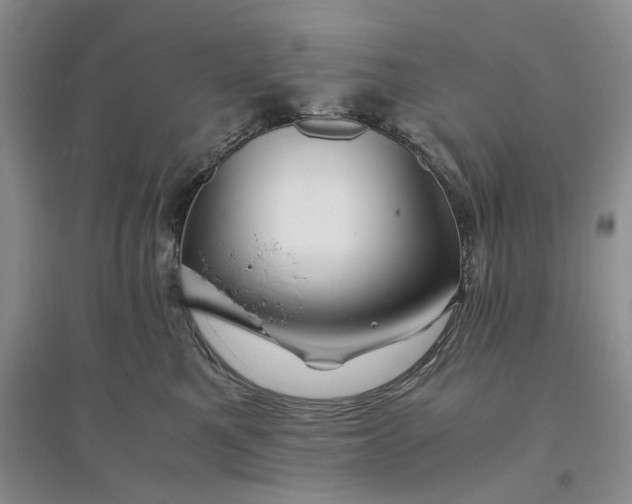X0000094080521200711091218