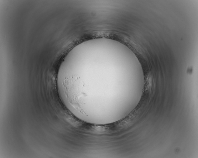 X0000094080522200711091218