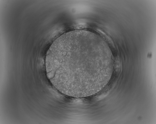 X0000094080523200711091218
