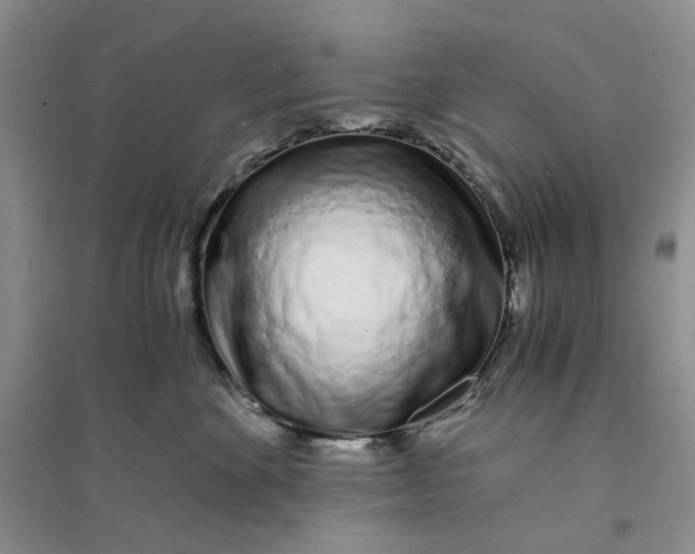 X0000094080524200711091218