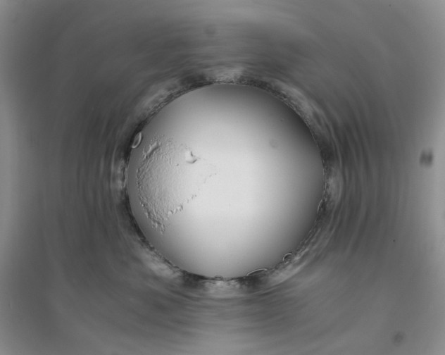 X0000094080525200711091218