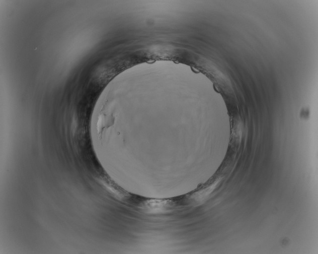 X0000094080526200711091218
