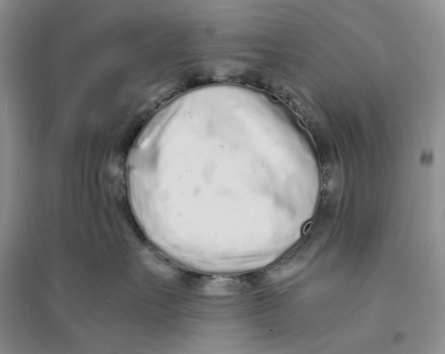 X0000094080527200711091218