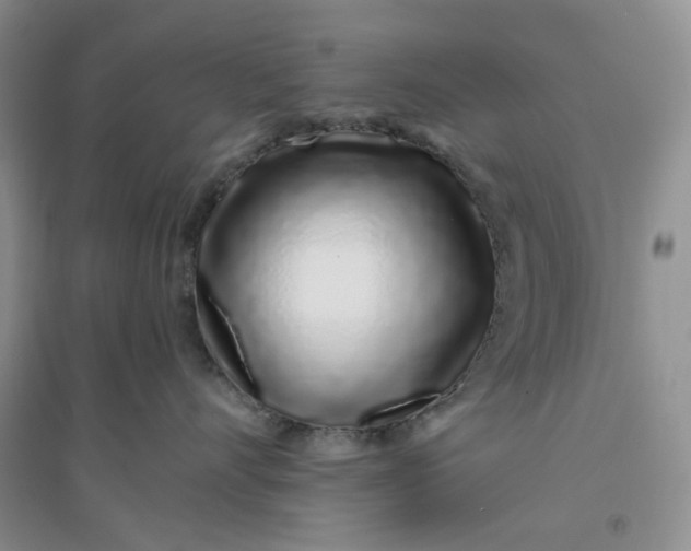 X0000094080528200711091218