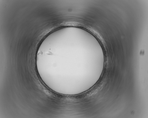 X0000094080529200711091217