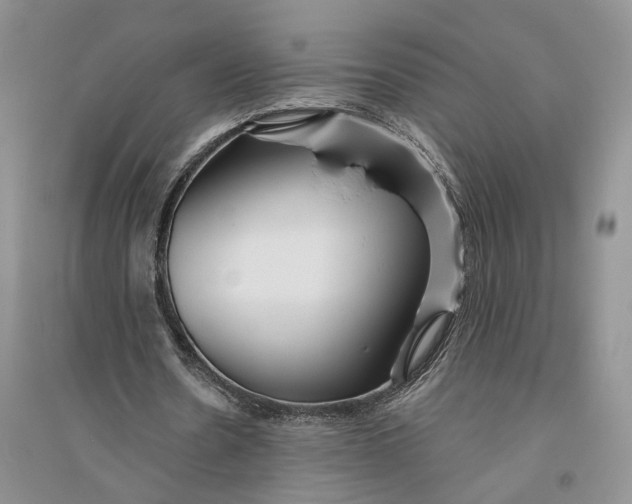 X0000094080530200711091217