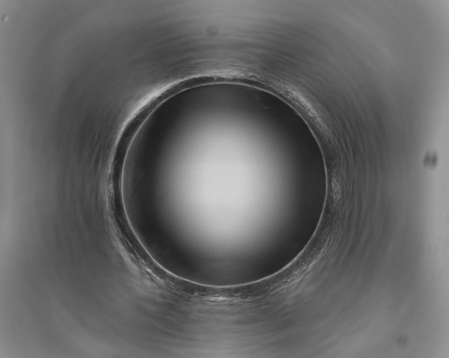 X0000094080532200711091217