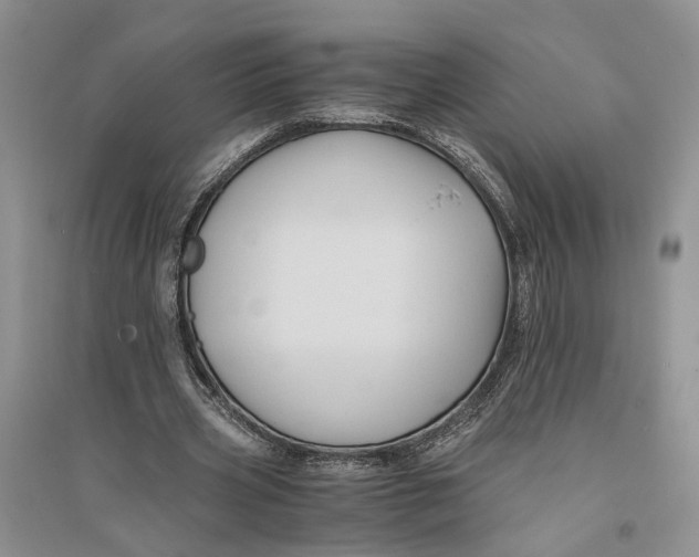 X0000094080533200711091217