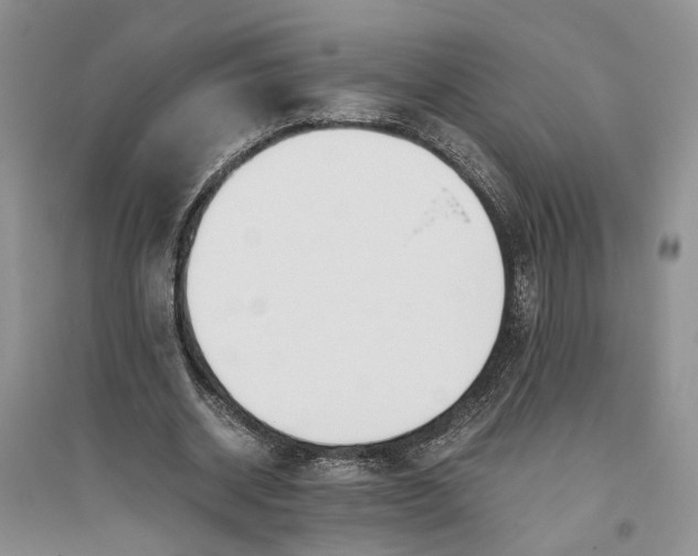 X0000094080534200711091217