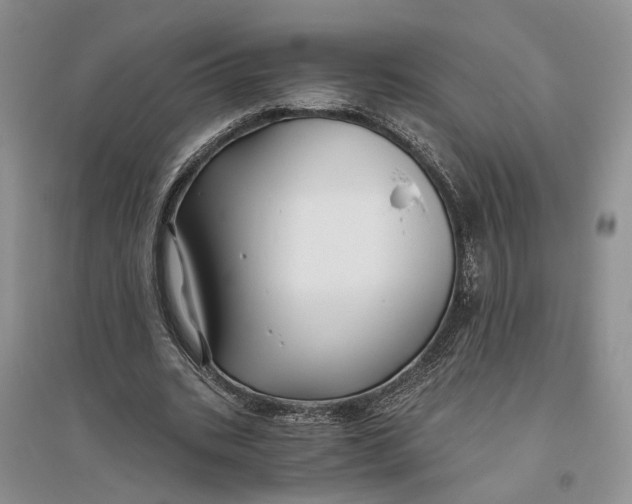 X0000094080535200711091217