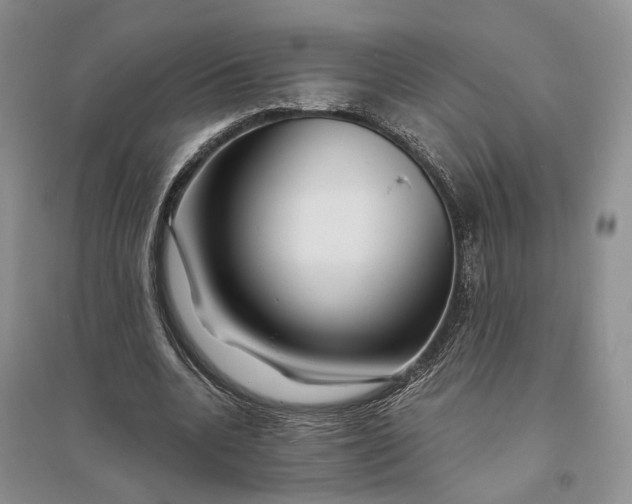 X0000094080536200711091217