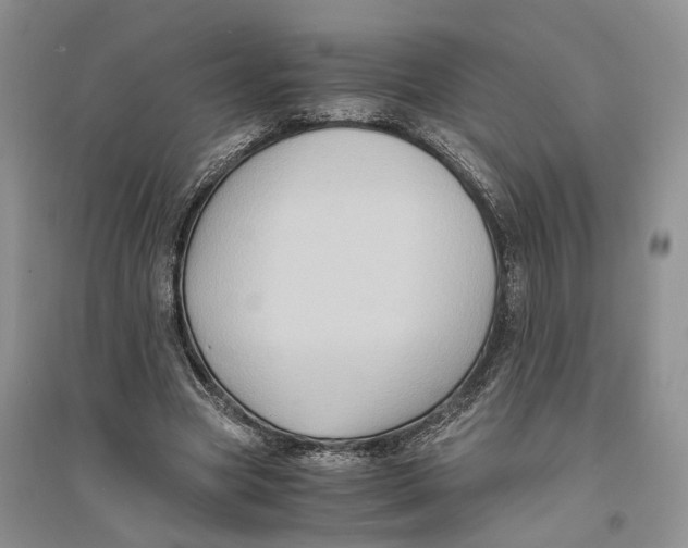 X0000094080537200711091217