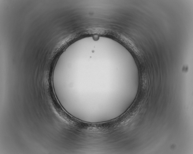 X0000094080538200711091217