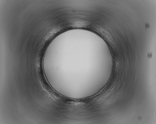 X0000094080539200711091217