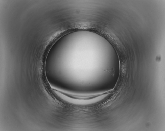 X0000094080540200711091217