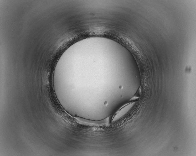 X0000094080543200711091217