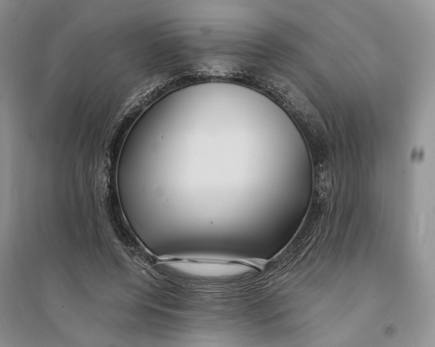 X0000094080544200711091217