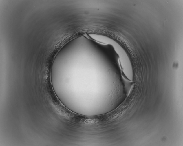 X0000094080546200711091217