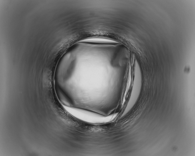 X0000094080547200711091217