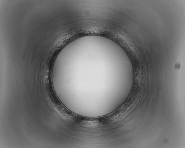 X0000094080548200711091217