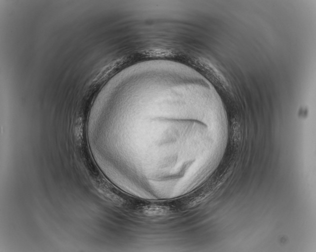 X0000094080549200711091217