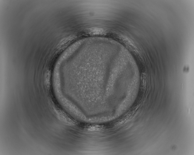 X0000094080550200711091217