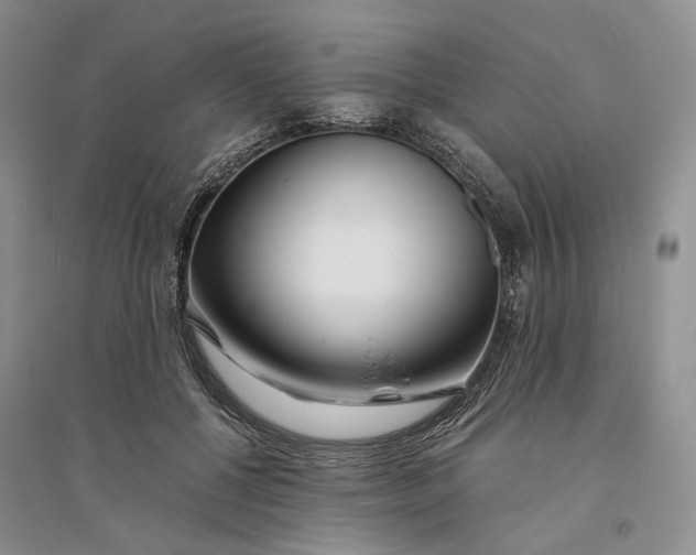 X0000094080552200711091217