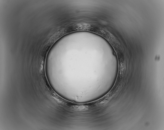 X0000094080553200711091217