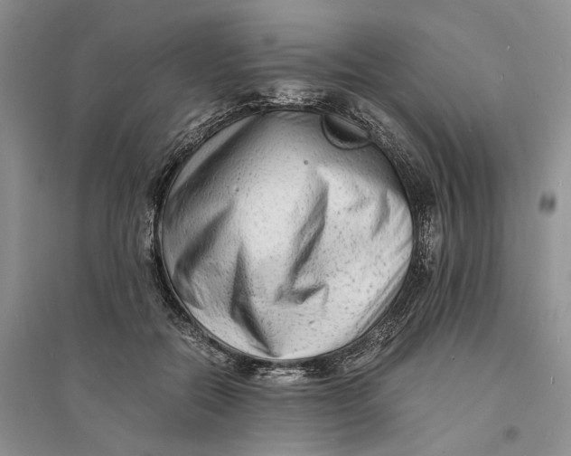 X0000094080554200711091217