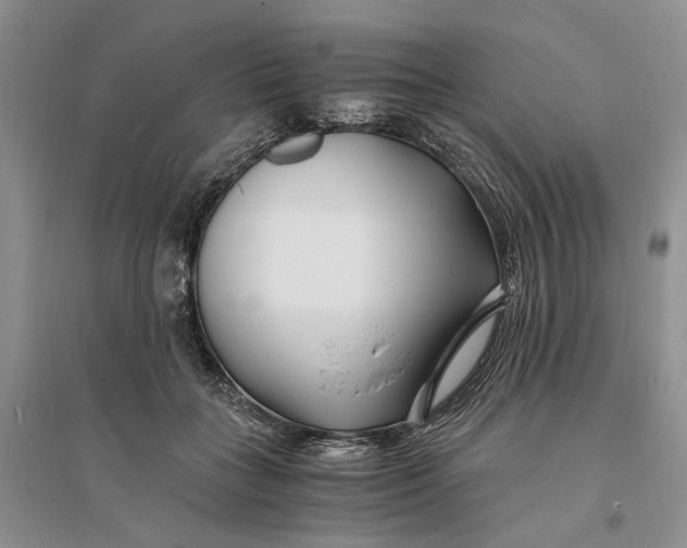 X0000094080555200711091217