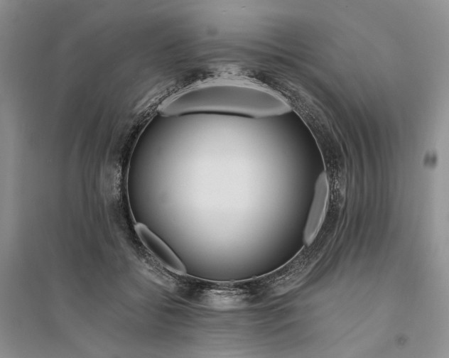 X0000094080556200711091217