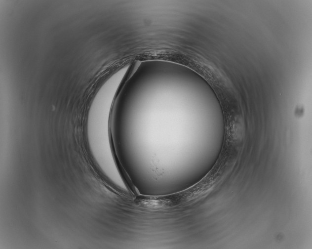 X0000094080558200711091217