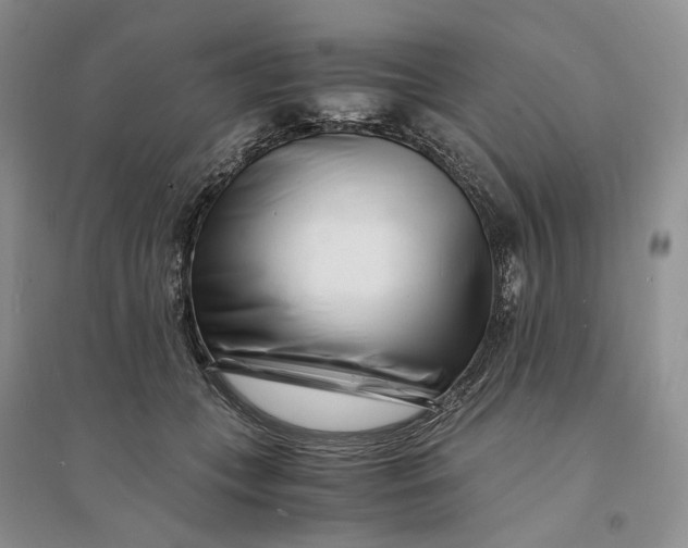 X0000094080559200711091217