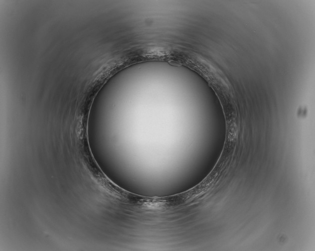 X0000094080560200711091217