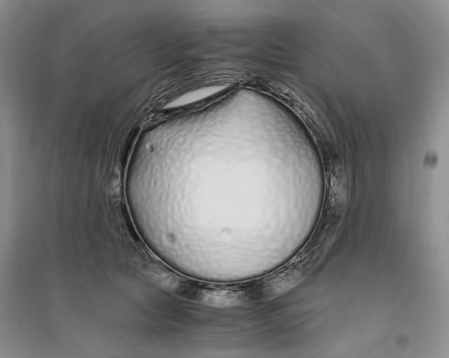 X0000094080561200711091217