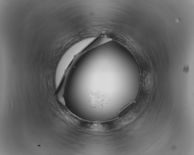 X0000094080562200711091217
