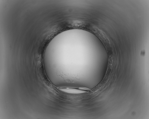 X0000094080563200711091217