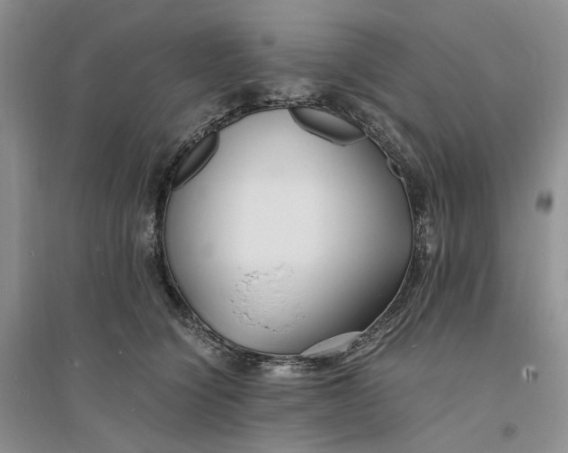 X0000094080564200711091217