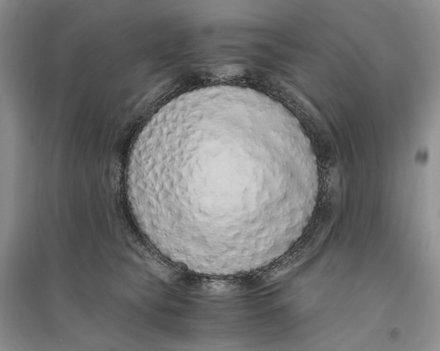X0000094080565200711091217